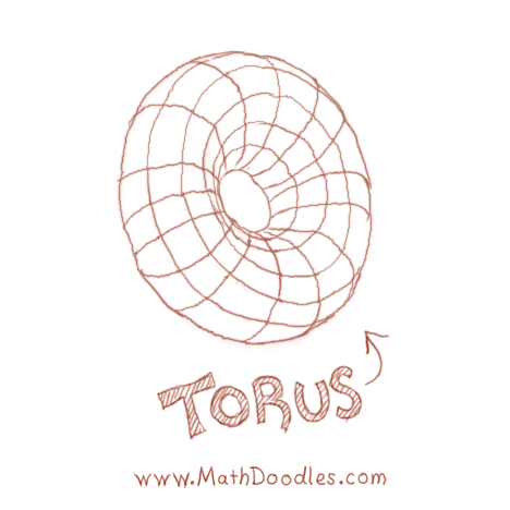 torus